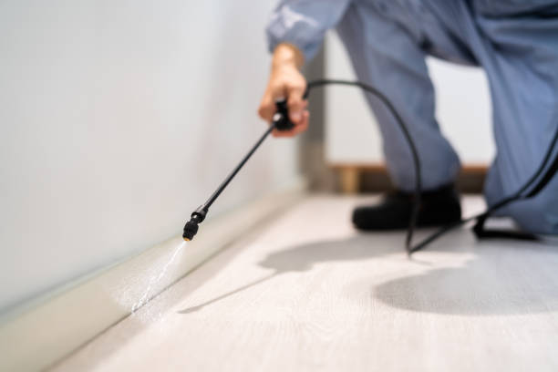 Licensed Termite Control service in Auburn, MI - Nex Pest Control