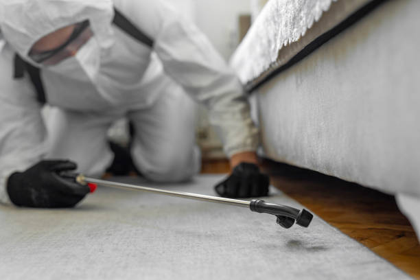 Professional Termite Control technician working in Auburn, MI