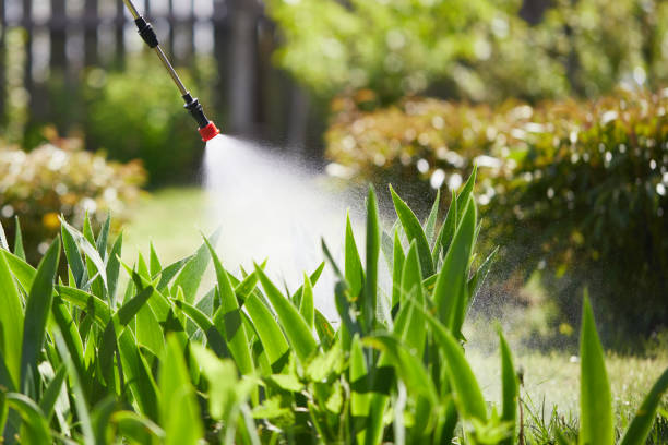 24/7 Emergency Termite Control experts in Auburn, MI