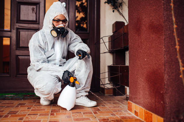 Reliable Termite Control contractor in Auburn, MI by Nex Pest Control