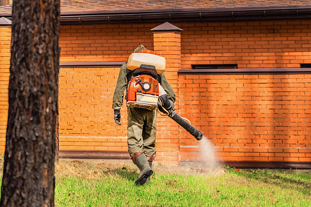 Top rated local Termite Control specialists in Auburn, MI